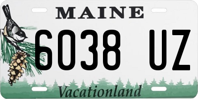 ME license plate 6038UZ