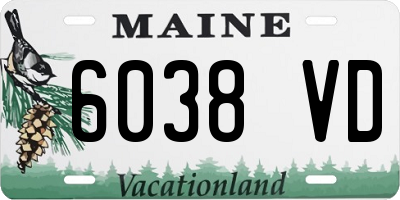 ME license plate 6038VD