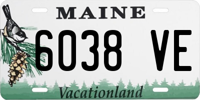ME license plate 6038VE