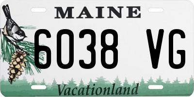 ME license plate 6038VG