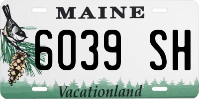 ME license plate 6039SH