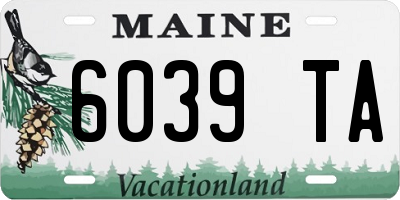 ME license plate 6039TA