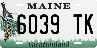 ME license plate 6039TK