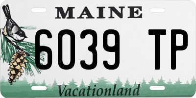 ME license plate 6039TP