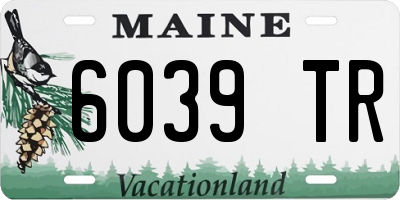 ME license plate 6039TR