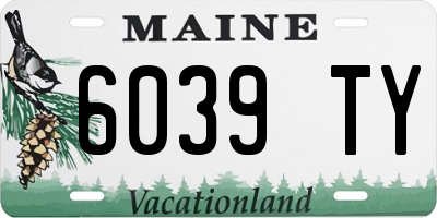 ME license plate 6039TY