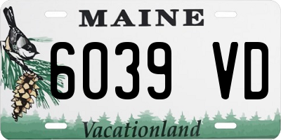 ME license plate 6039VD