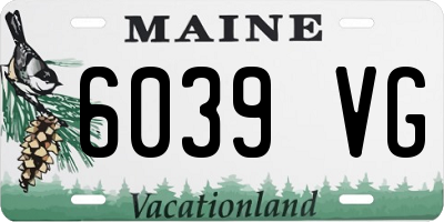 ME license plate 6039VG