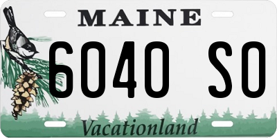 ME license plate 6040SO