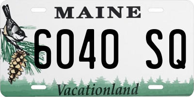 ME license plate 6040SQ