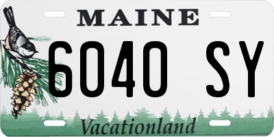 ME license plate 6040SY