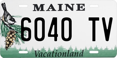 ME license plate 6040TV