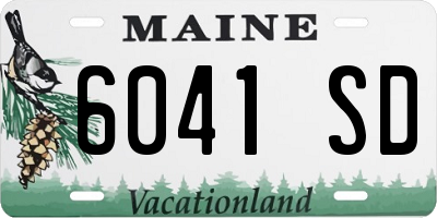 ME license plate 6041SD