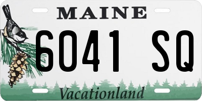 ME license plate 6041SQ