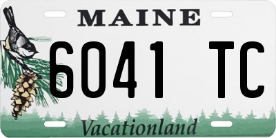ME license plate 6041TC