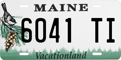 ME license plate 6041TI