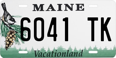 ME license plate 6041TK