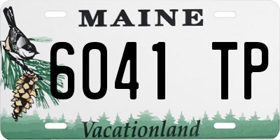 ME license plate 6041TP