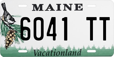 ME license plate 6041TT