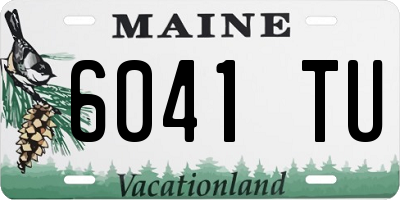 ME license plate 6041TU