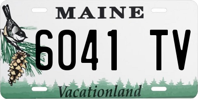 ME license plate 6041TV