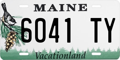 ME license plate 6041TY