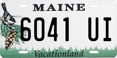 ME license plate 6041UI