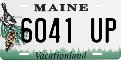 ME license plate 6041UP