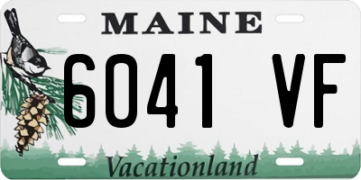 ME license plate 6041VF