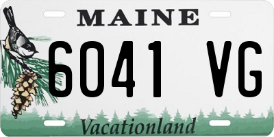 ME license plate 6041VG