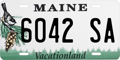 ME license plate 6042SA