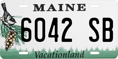 ME license plate 6042SB