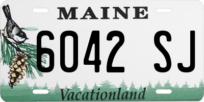 ME license plate 6042SJ