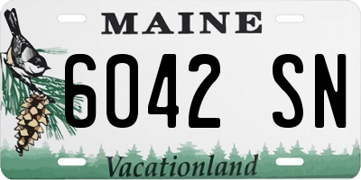 ME license plate 6042SN