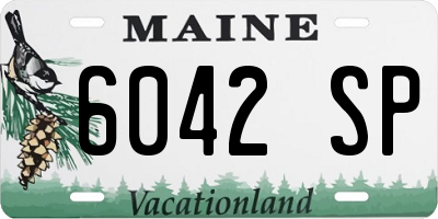 ME license plate 6042SP