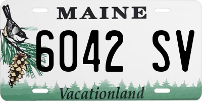 ME license plate 6042SV