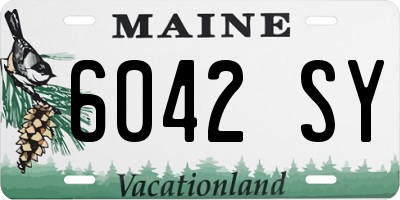 ME license plate 6042SY