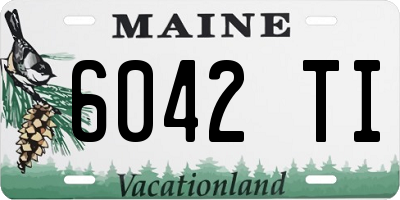 ME license plate 6042TI