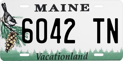 ME license plate 6042TN