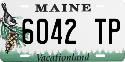 ME license plate 6042TP