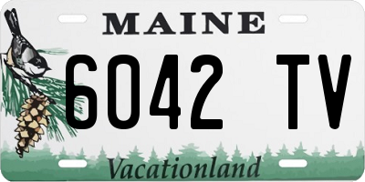 ME license plate 6042TV