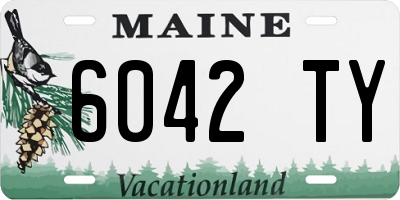 ME license plate 6042TY