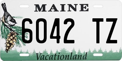 ME license plate 6042TZ
