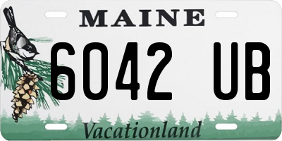 ME license plate 6042UB