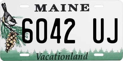 ME license plate 6042UJ