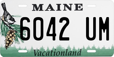 ME license plate 6042UM