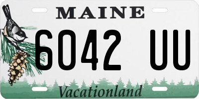 ME license plate 6042UU