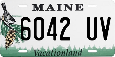 ME license plate 6042UV