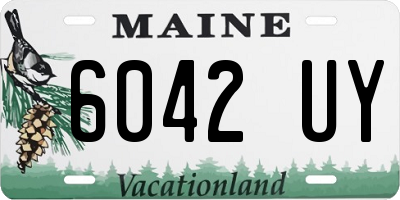 ME license plate 6042UY