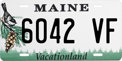 ME license plate 6042VF